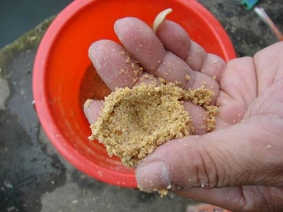 巧妙運用,包食底釣青魚草魚和鳊魚